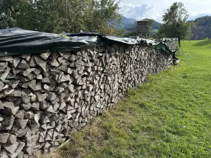 Brennholz, Scheitholz, Buche, Esche, Hartholz, 1 m