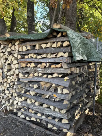 Hartes Brennholz
