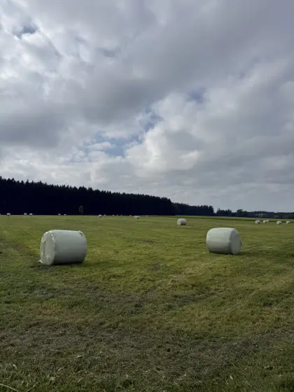 Siloballen