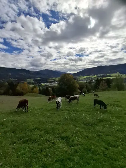 Pachtfläche