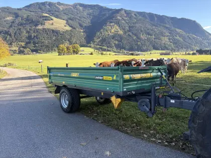 Oehler EDK 60 S