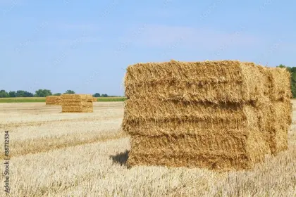 Strohballen