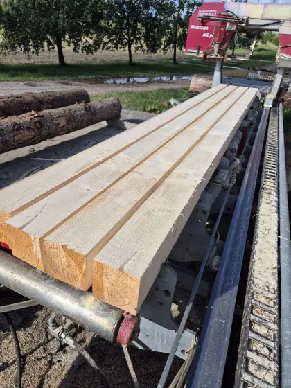 Lohnschnitt, mobiles Sägewerk