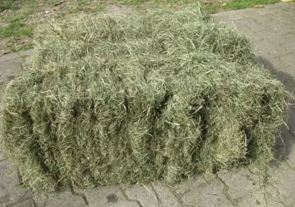 Pferdeheu, Wiesenheu, Kleinballen, inkl. Zustellung