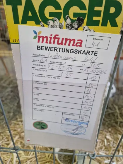 Farbzwerg