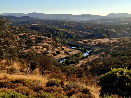 Verwalterpaar für Rinder- und Jagdgut in Portugal