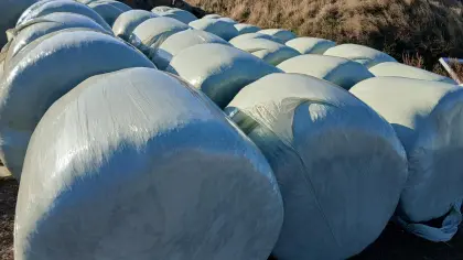 Heu in Siloballen