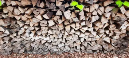 Buchen-Brennholz