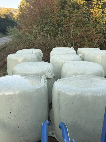 Siloballen