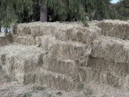 Kleinballen Heuballen