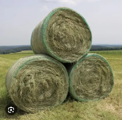 Heuballen zu verkaufen