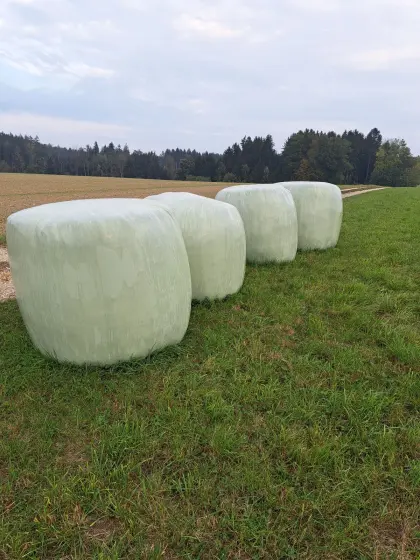 Silageballen