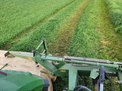 Grassilageballen und Kleegrassilageballen