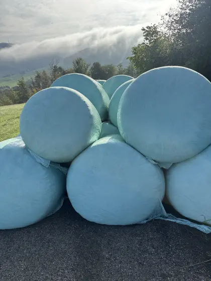 Bio-Mais-Siloballen