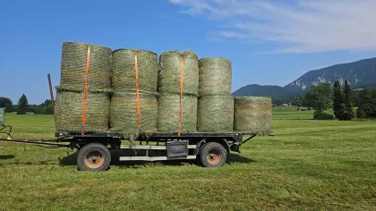 Bio-Heuballen