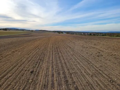 Vergebe Flächen zum Kartoffelanbau im Bezirk Horn