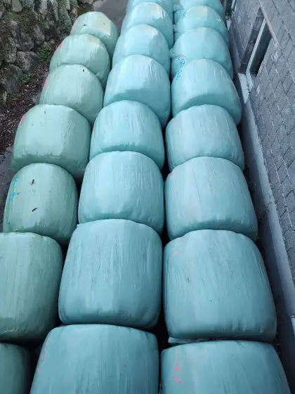Bio-Luzerne-Silageballen
