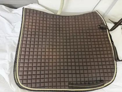 DL-Schabracke Eskadron, braun