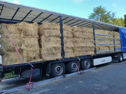 Heu-Quaderballen, inkl. Transport