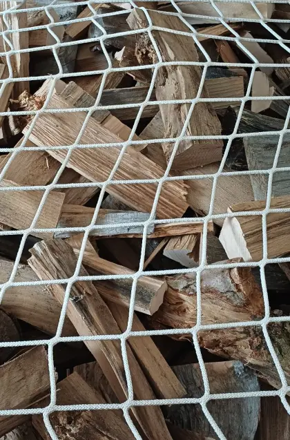 Buchenholz trocken