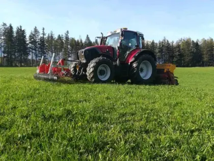 Wiesennachsaat