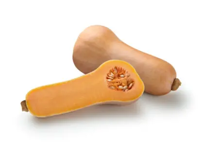 Bio-Kürbis