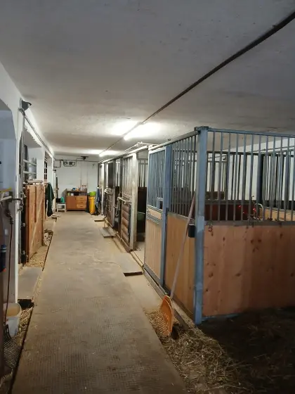 Leistbarer Einstellplatz fürs Pony, Kleinpferd