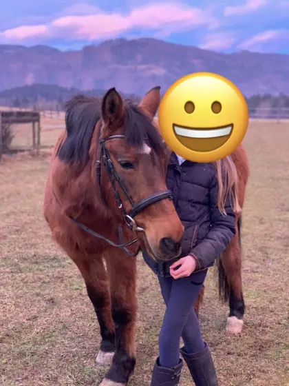 Pony
