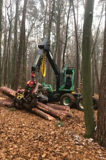 Harvester Woody 60 mit Skogsjan 695