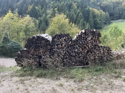 Brennholz hart