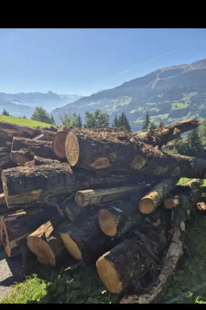 Zirbenholz, Zirm