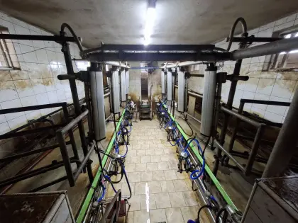 DeLaval Melkstand MP400