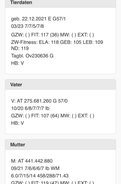 Gescheckter Hb-Widder