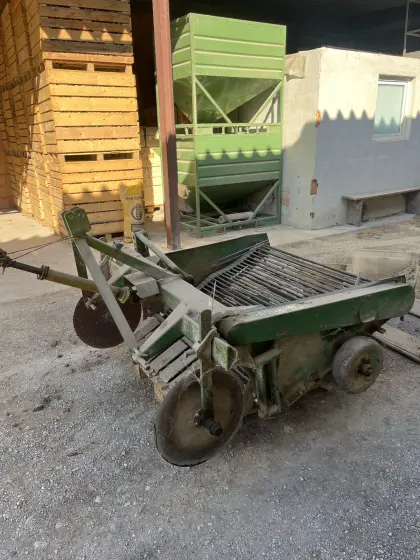 Kartoffel-, Zwiebelroder Goliath