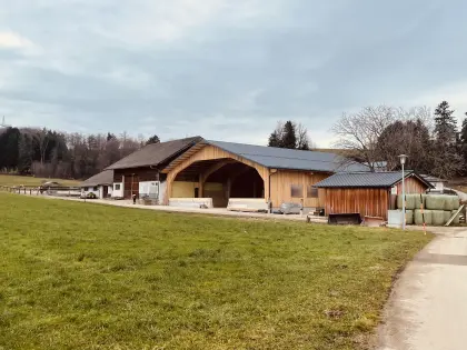 Einstellplatz für Stute zu vergeben