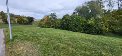 Wiesengrund am Nöstelberg, Weiz, zu verpachten