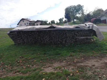 Brennholz Buche