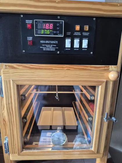 HEKA 1+ Motorbrüter, Brutapparat, Brutautomat