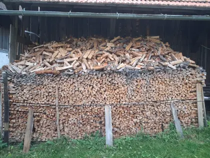 Brennholz