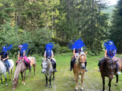 6-jährige Hafistute