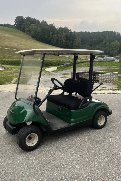 Yamaha Golfcart G29
