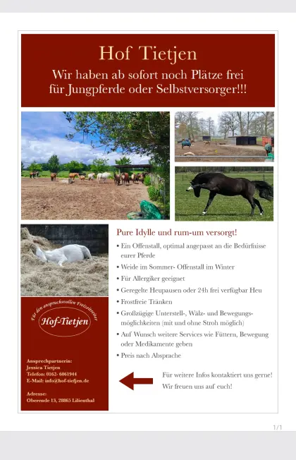 Jungpferdeaufzucht oder Rentnerplätze