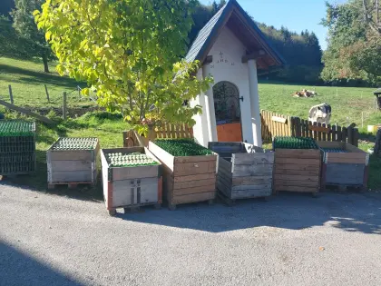 0,25 l Flaschen MC 28