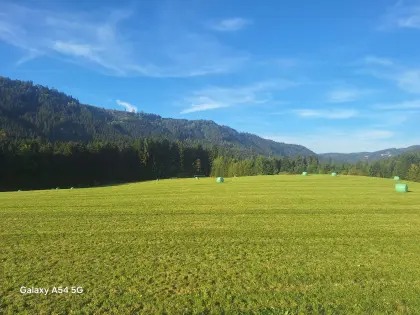 Silageballen 2. Schnitt