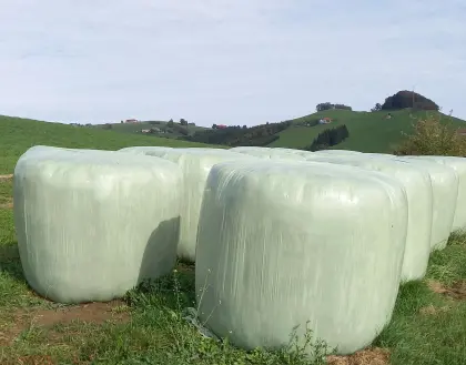 10 Bio-Silageballen zu verkaufen