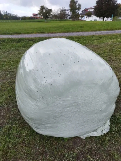 Silageballen, 130 cm, 28 Stk.
