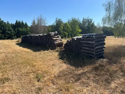 Brennholz trocken