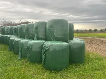 Maisballen aus österreichischer Herkunft