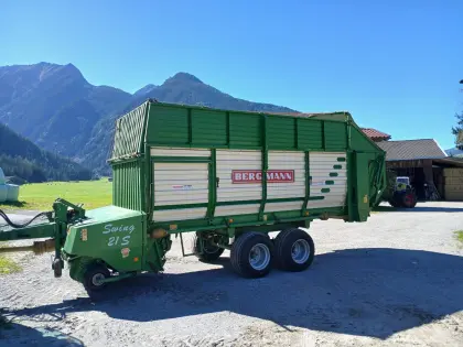 Bergmann Swing 21 S