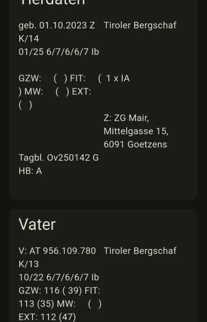 Tiroler HB Bergschafwidder